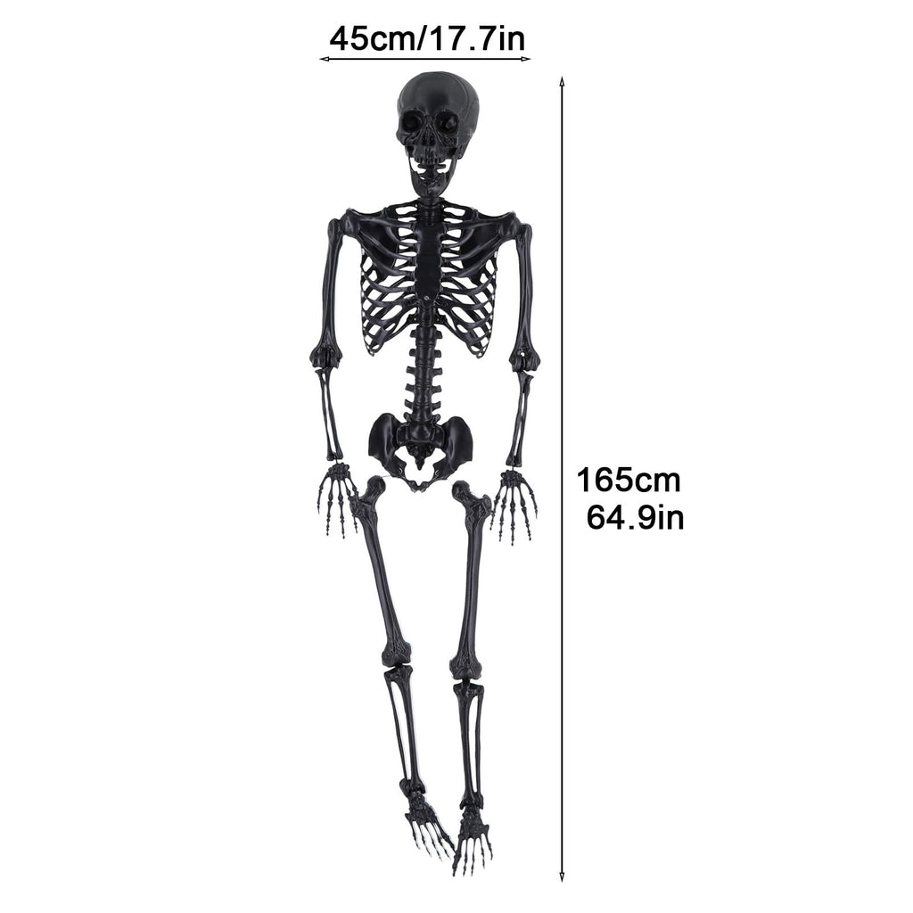 Life Size Posable Skeleton Prop W66506