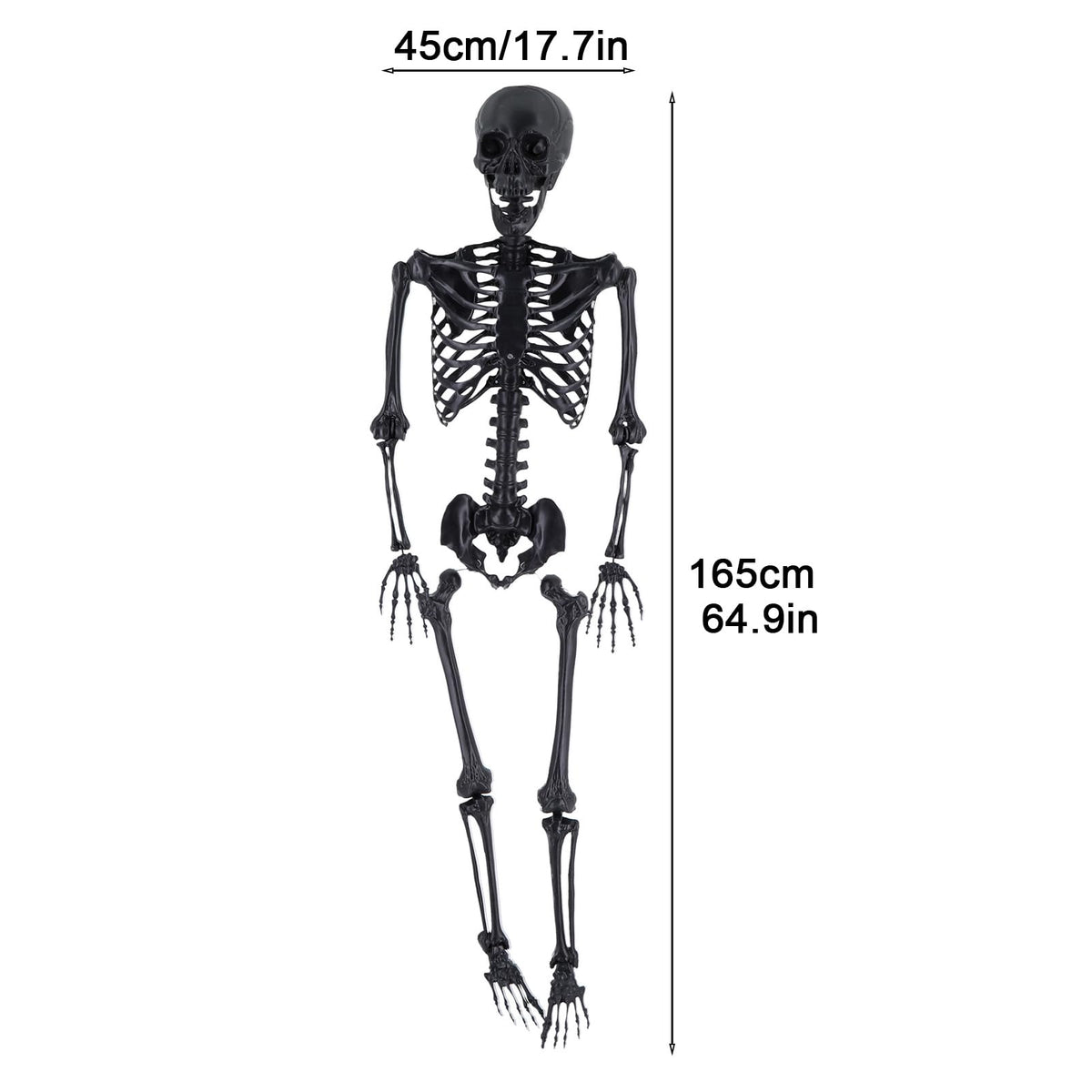 Life Size Posable Skeleton Prop W66506