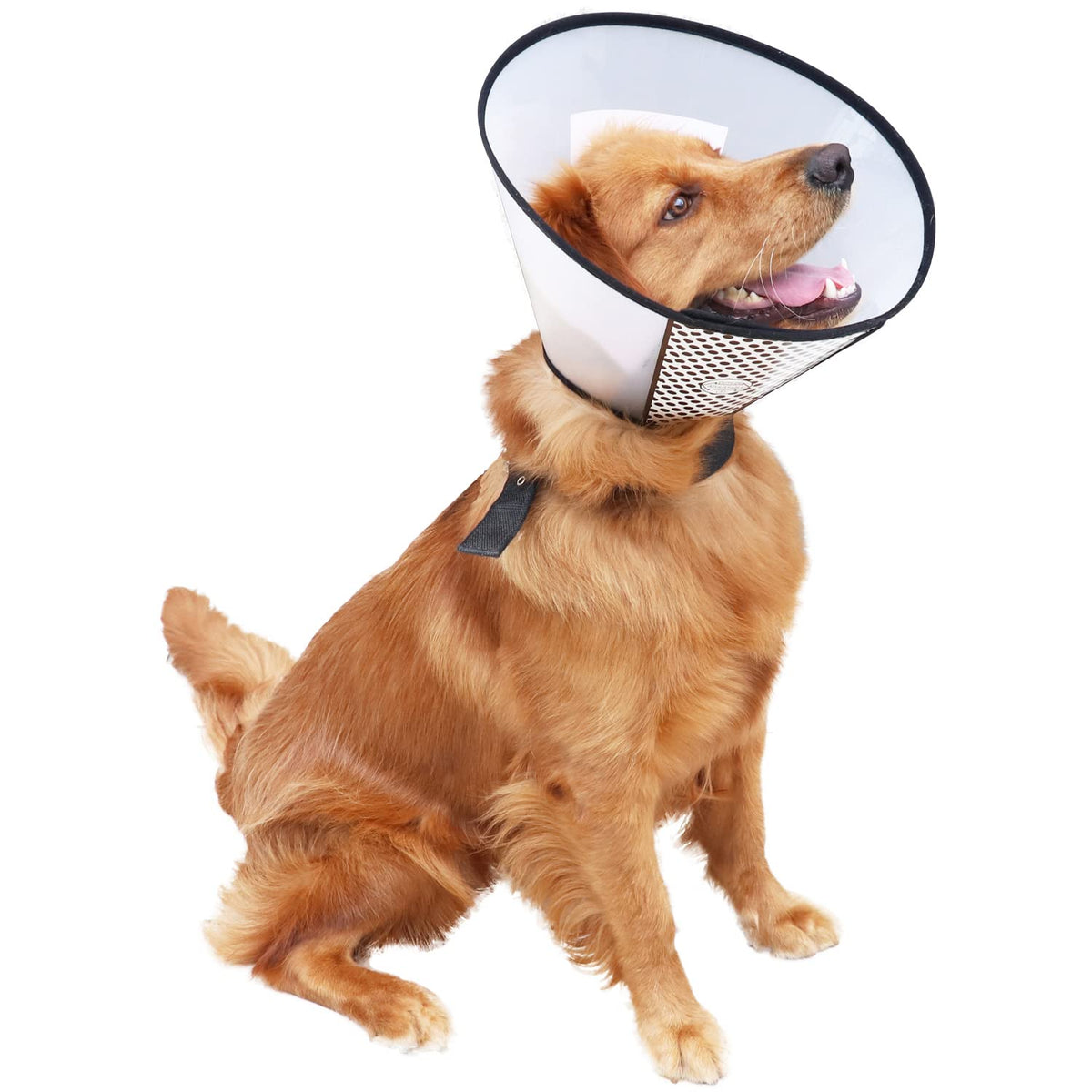 Adjustable Plastic Pet Recovery Collar Cone (S) O131751