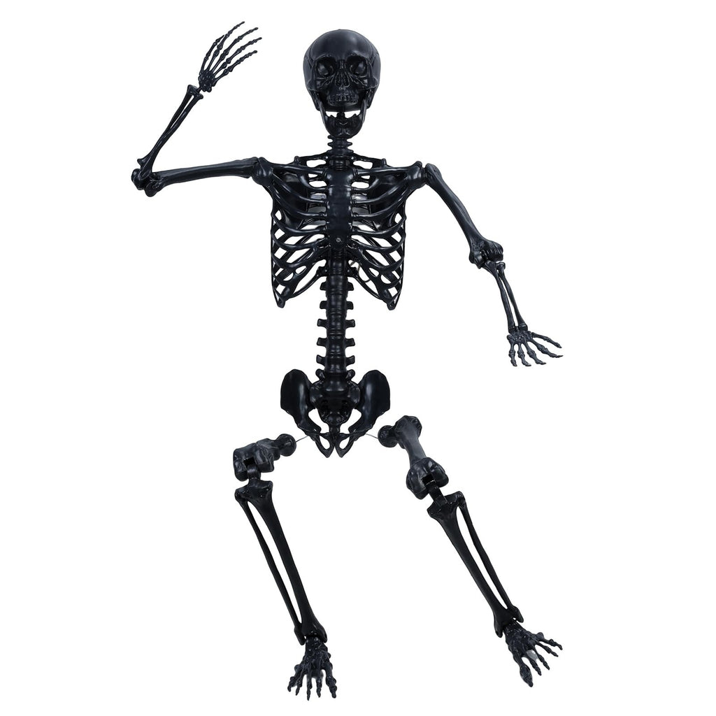 Life Size Posable Skeleton Prop W66506