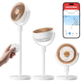 Rechargeable Oscillating Standing Fan Y724