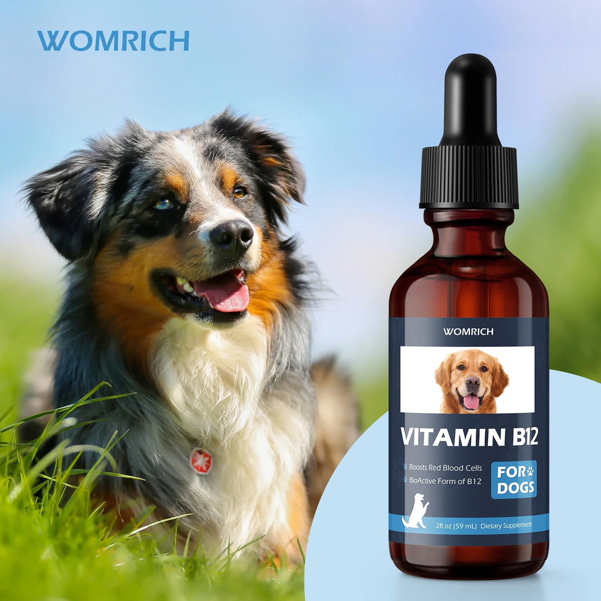 Vitamin B12 for Dogs L6059