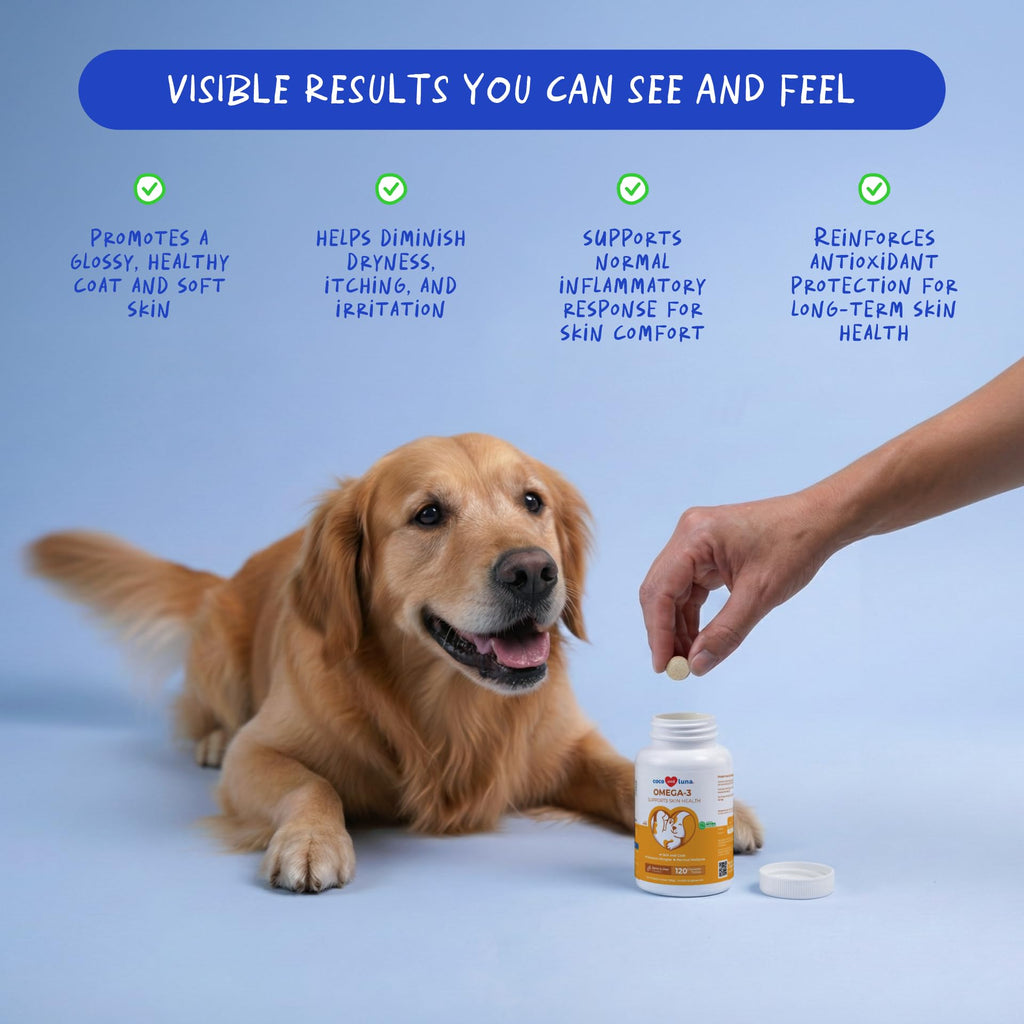 Omega 3 Fish Oil Skin and Coat Supplement O180
