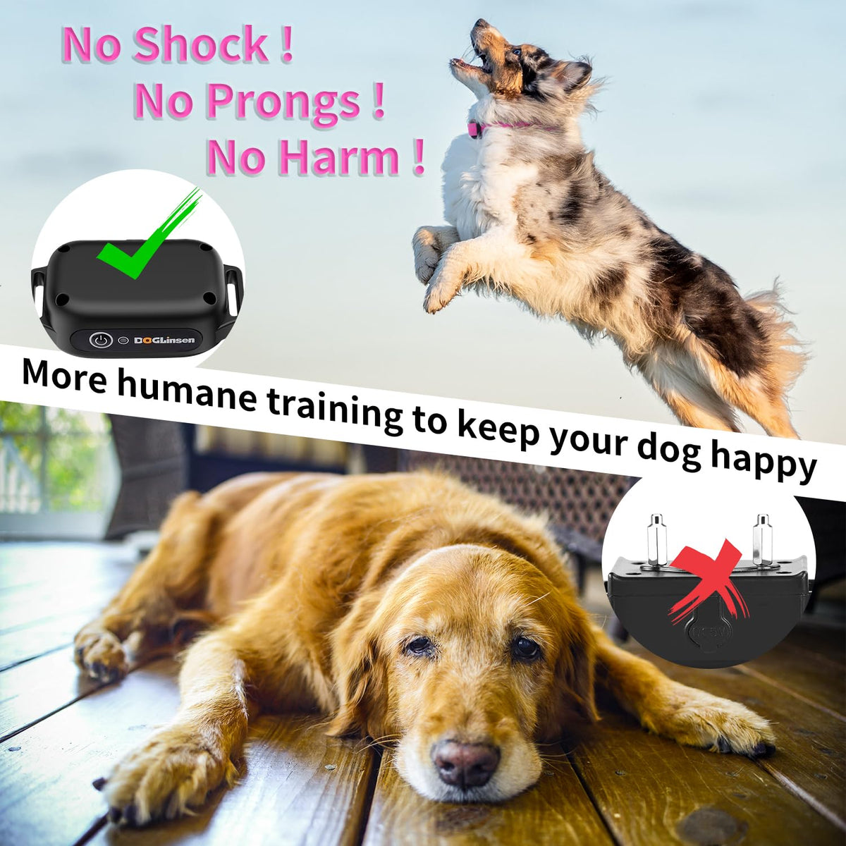 Dog Training Collar with Remote I441