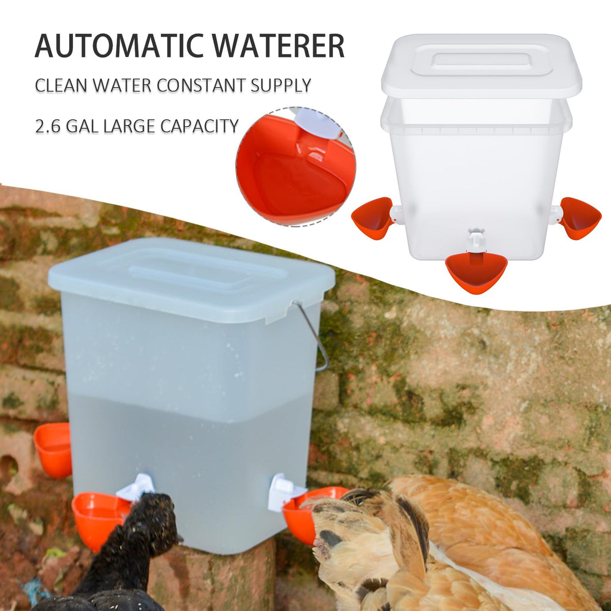Automatic Chicken Feeder & Waterer Set S70249