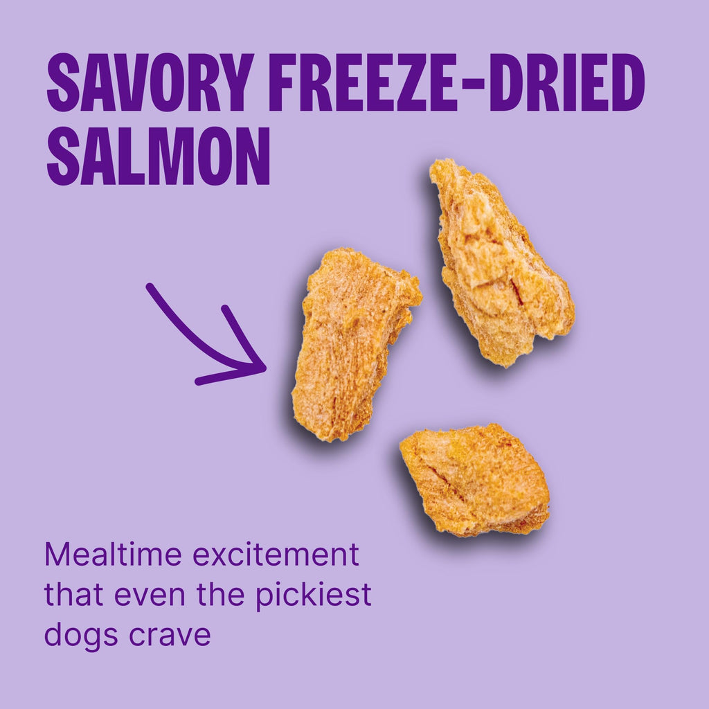 Sensitive Skin and Stomach Dry Dog Food with Freeze Dried Pieces, 4 lb Bag B223906
