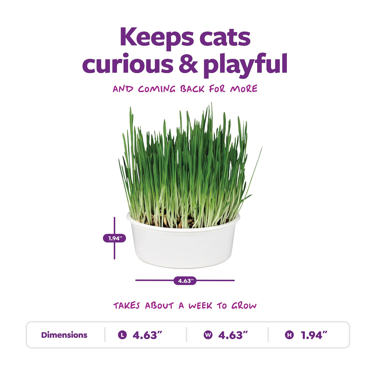 Organic Oat Grass Cat Grass Grow Kit J620665