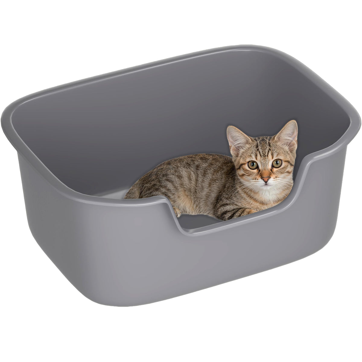 Large High Sides Cat Litter Box A11791