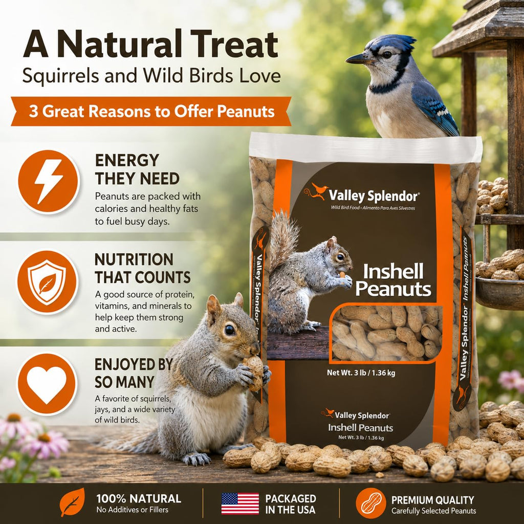 Peanuts In A Shell 3lbs Q6785