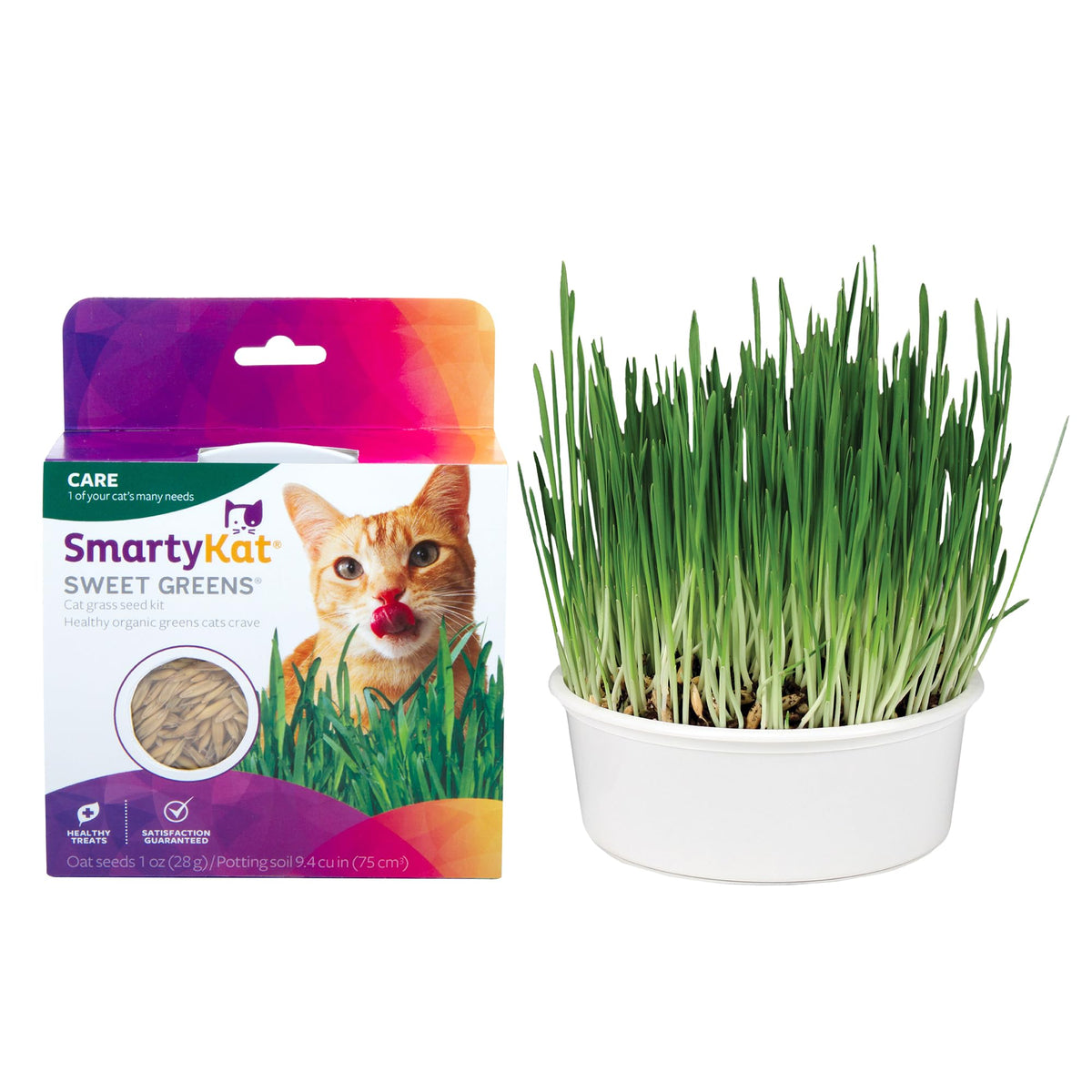Organic Oat Grass Cat Grass Grow Kit J620665