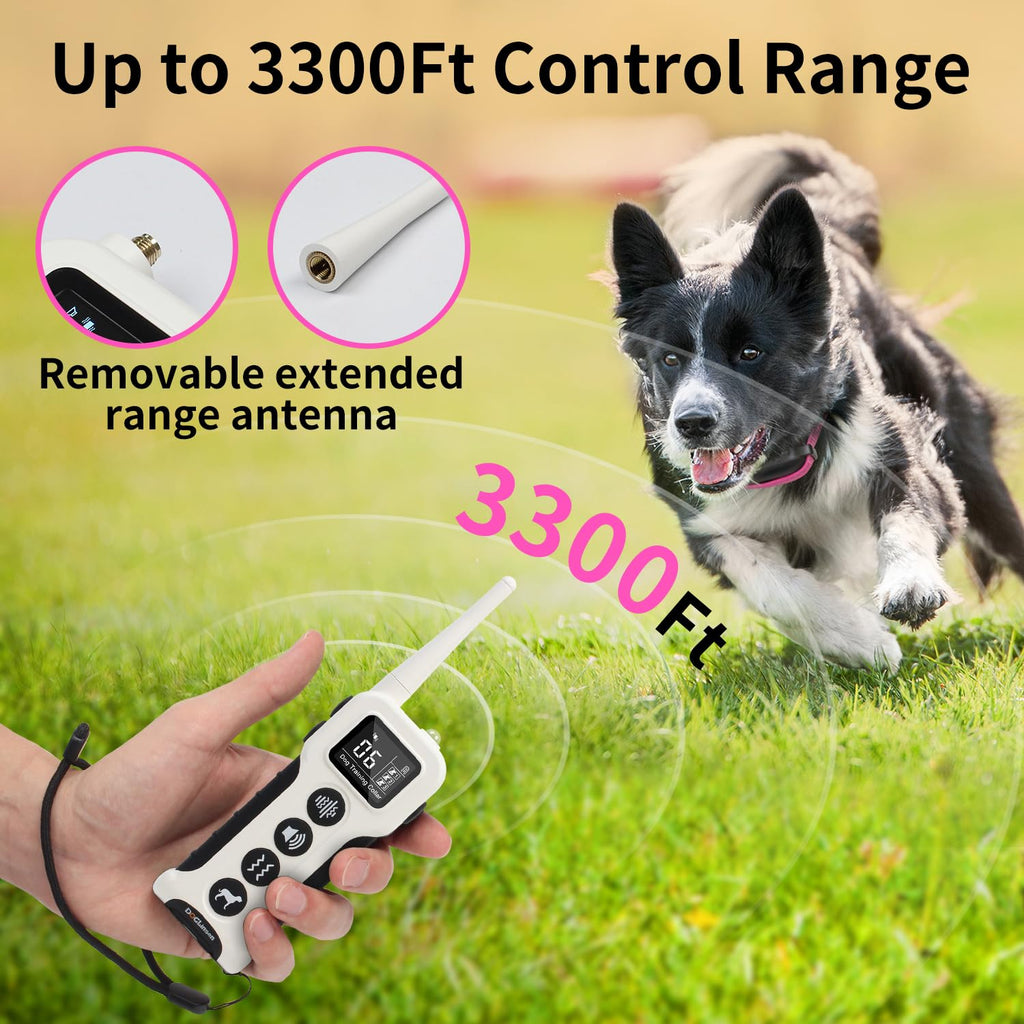 Dog Training Collar with Remote I441