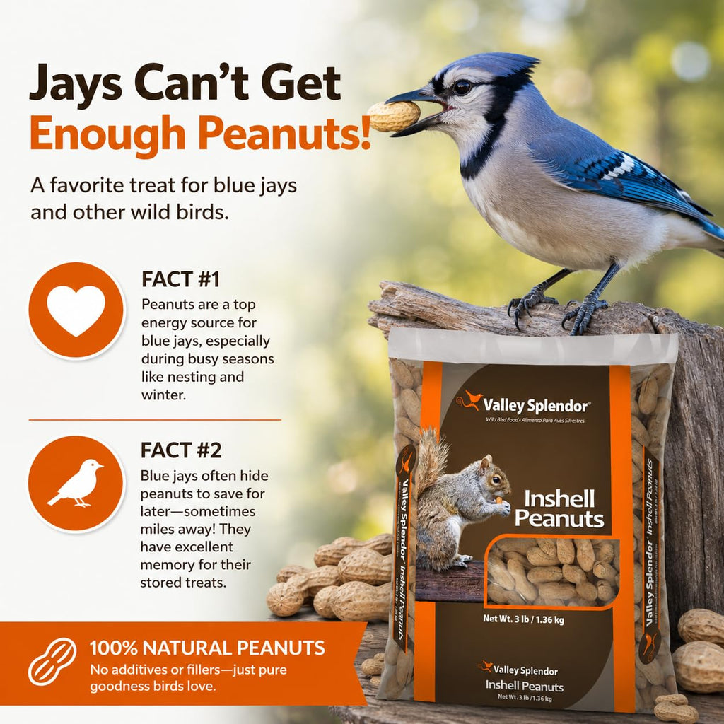 Peanuts In A Shell 3lbs Q6785