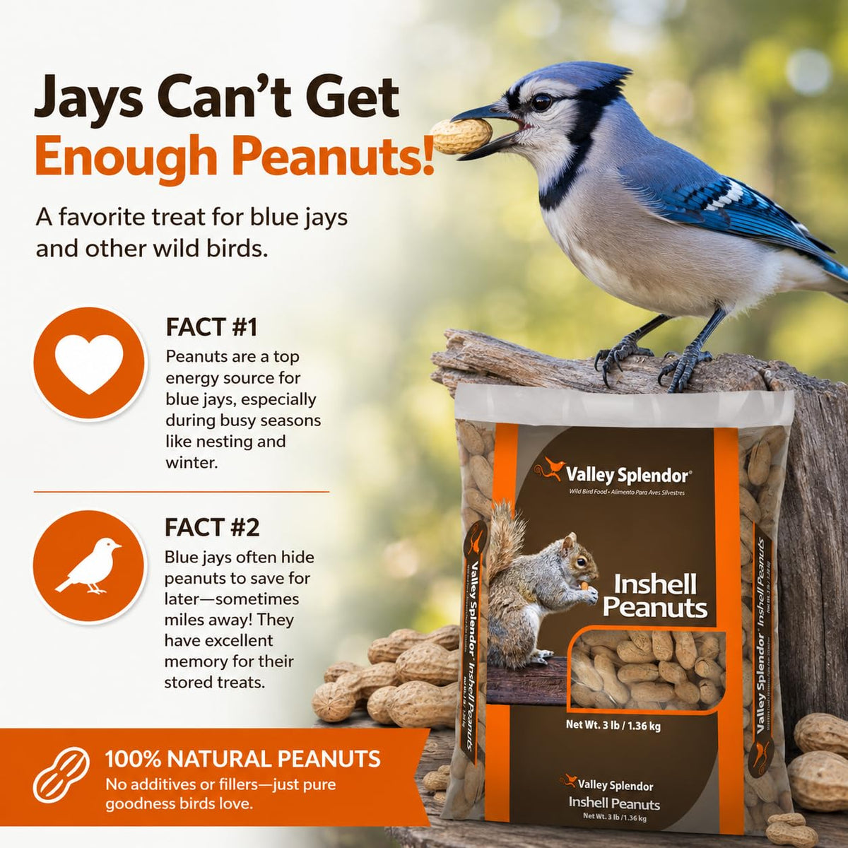 Peanuts In A Shell 3lbs Q6785