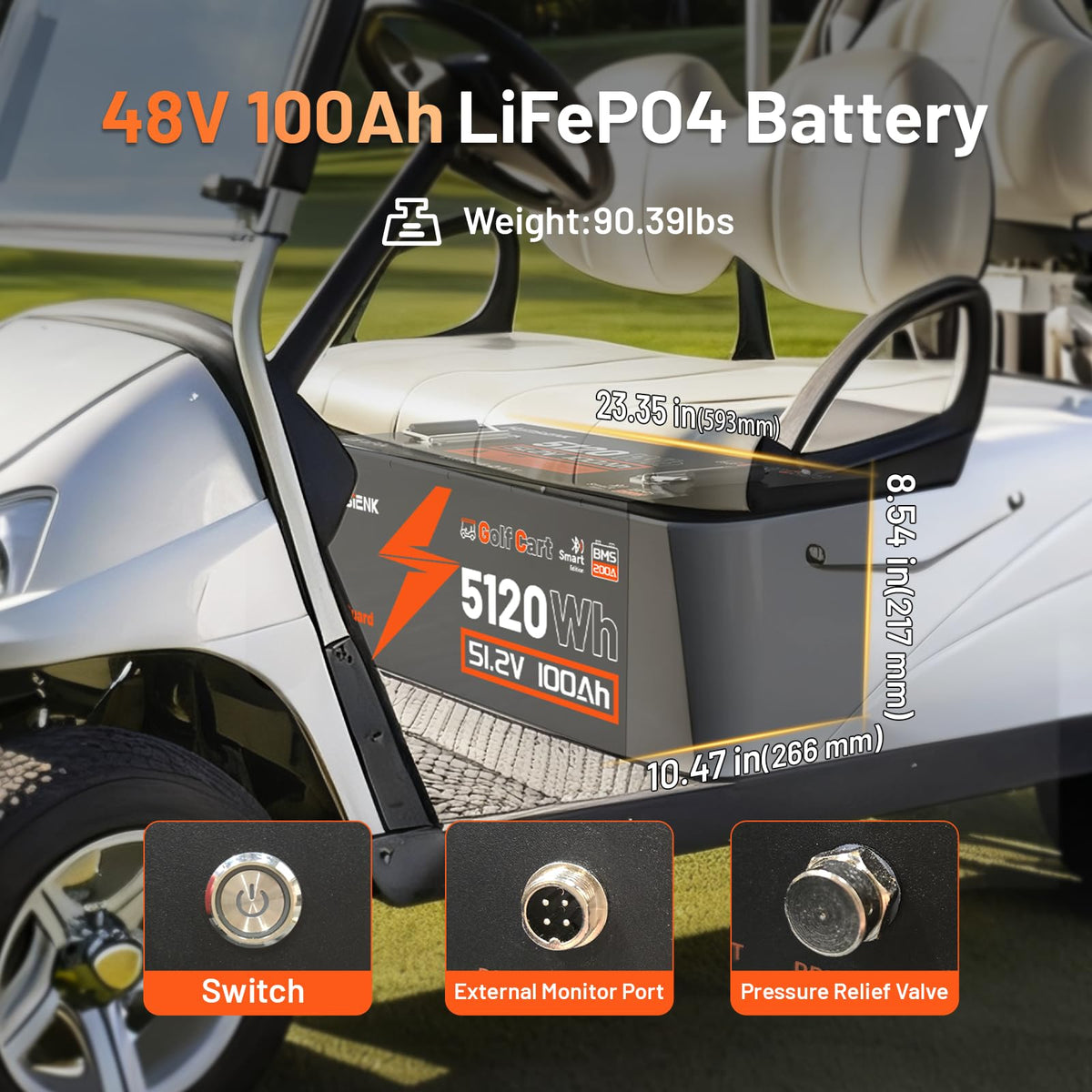 48V 100Ah LiFePO4 Golf Cart Battery W837