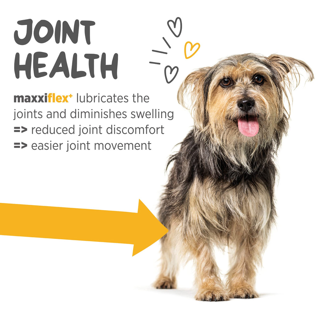 Dog Hip & Joint Support Glucosamine & Collagen 120ct Y34972