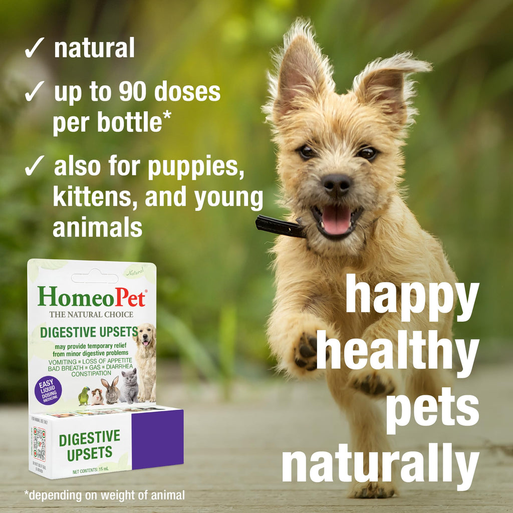 15 Milliliters Digestive Upsets for Dogs, Cats, and Small Pets F27464