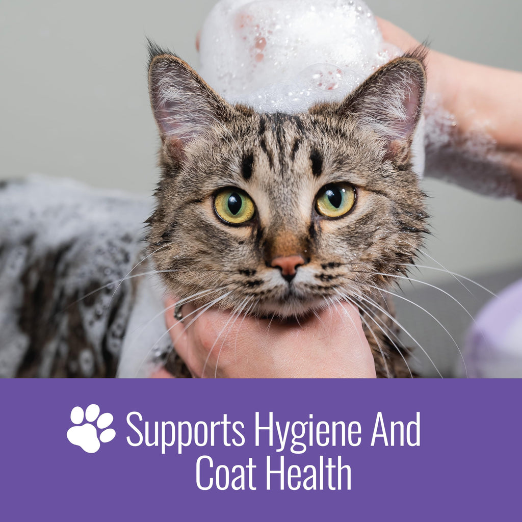 16 Oz Chlorhexidine Pet Shampoo J88133