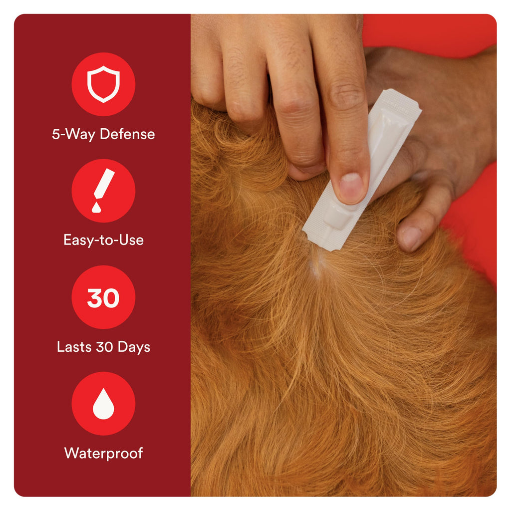7 Way DeWormer and Flea and Tick Prevention for Small Dogs 6 Count S2431