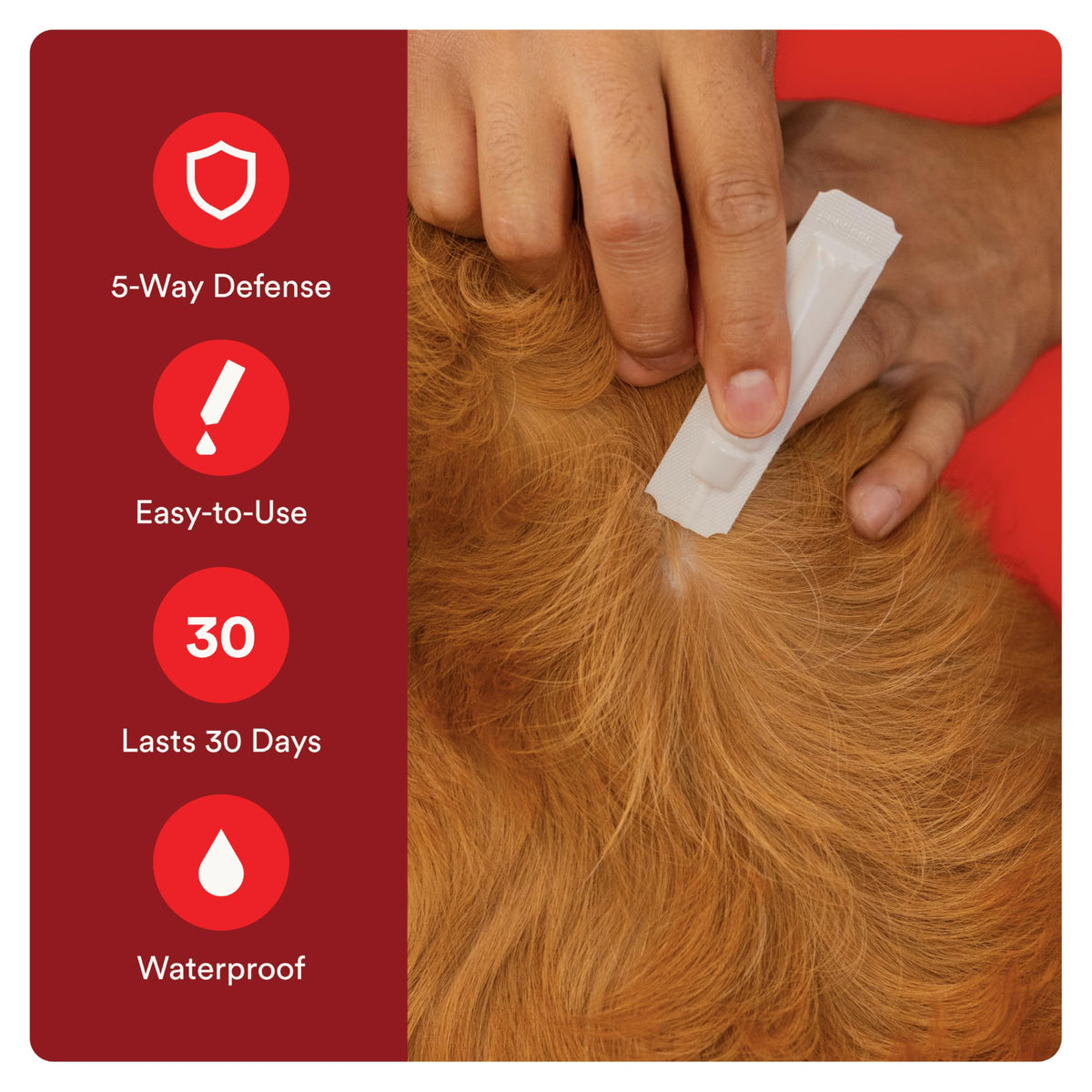 7 Way DeWormer and Flea and Tick Prevention for Small Dogs 6 Count S2431