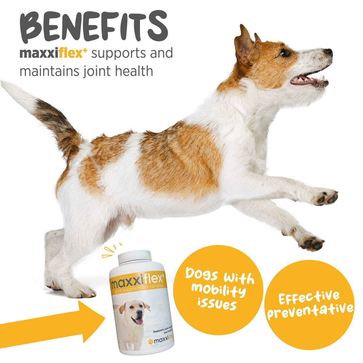 Dog Hip & Joint Support Glucosamine & Collagen 120ct Y34972