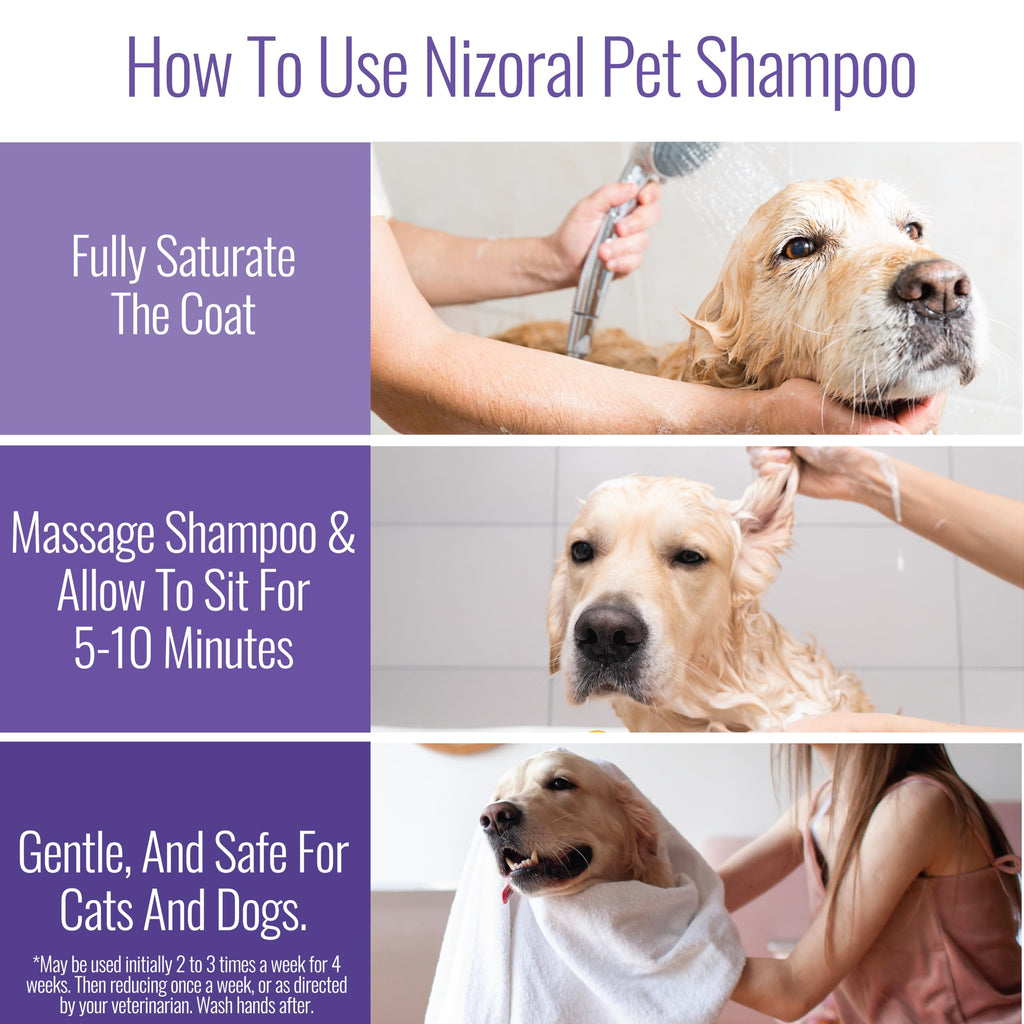 16 Oz Chlorhexidine Pet Shampoo J88133