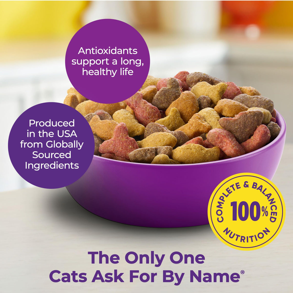Dry Cat Food 6.3 Pound and Wet Cat Food Variety Pack 2.75 Ounce (Pack of 24) W95593