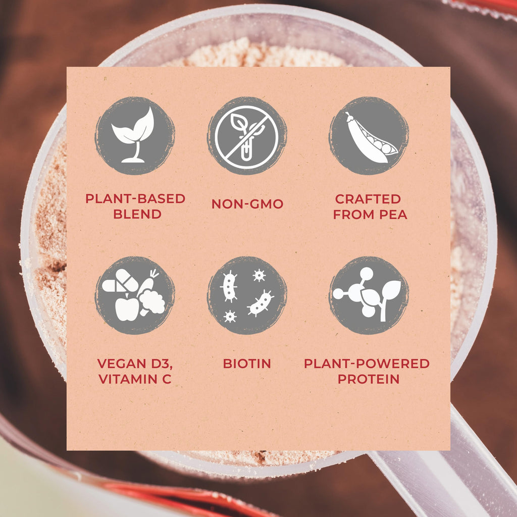 Vegan Protein Powder Vanilla P708228
