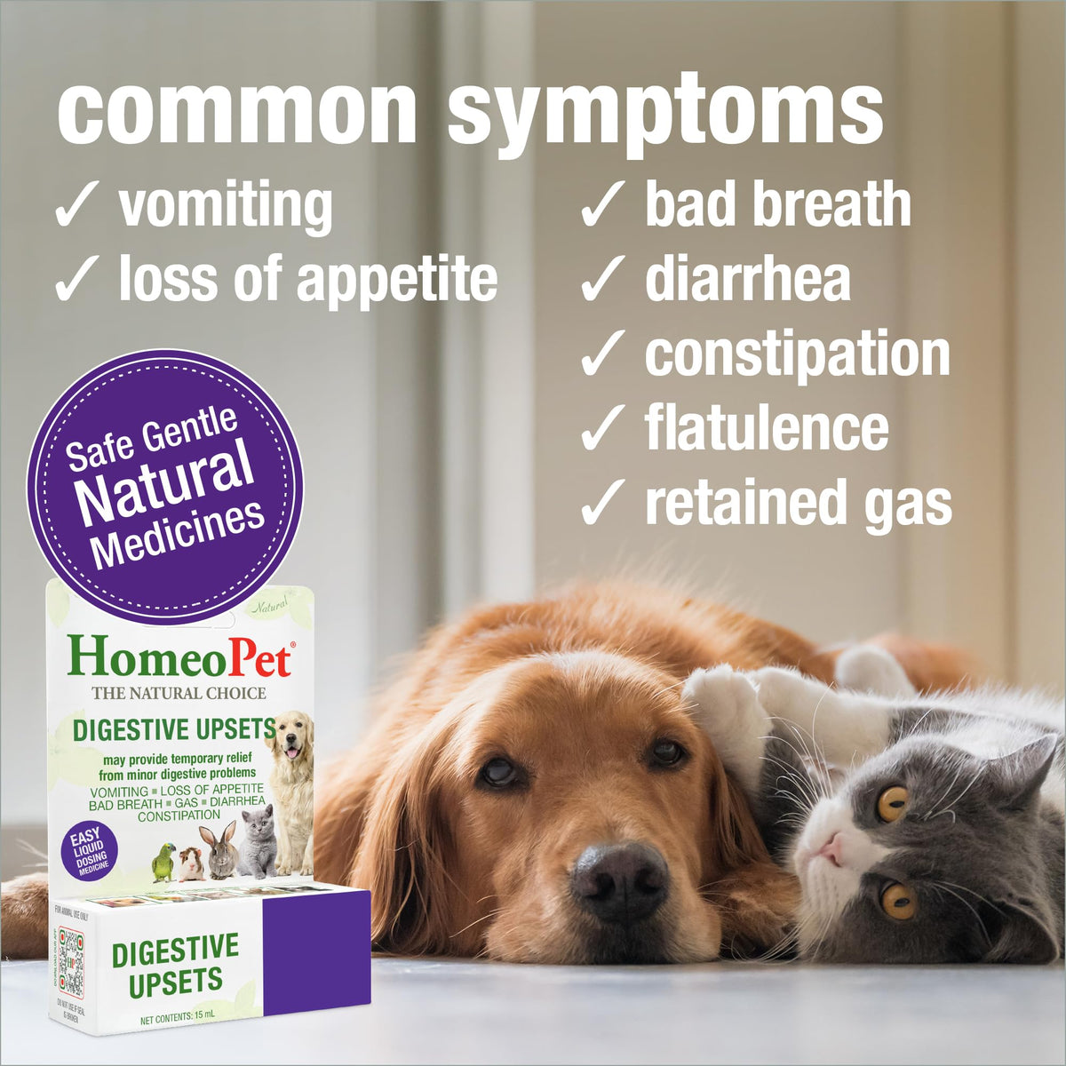 15 Milliliters Digestive Upsets for Dogs, Cats, and Small Pets F27464