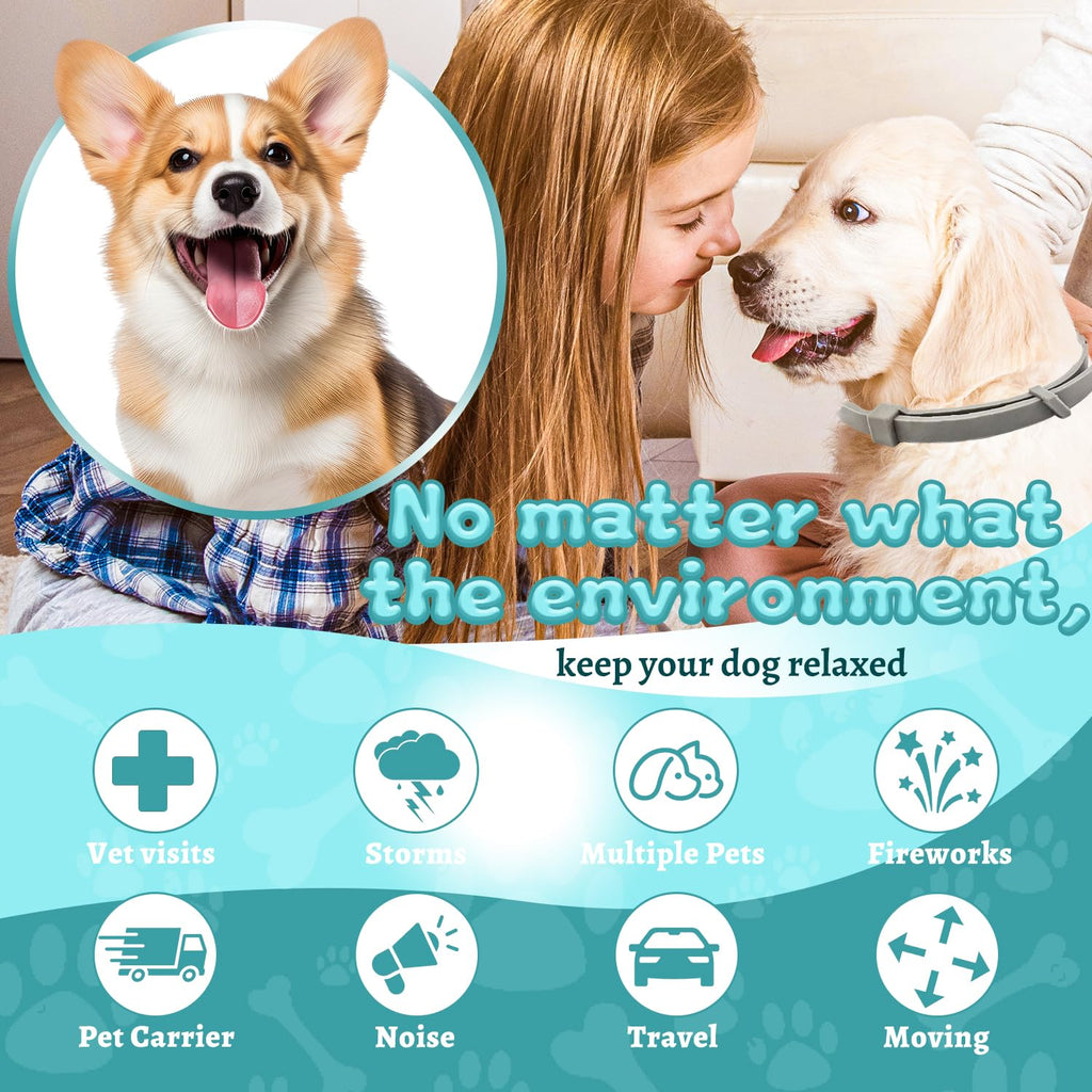 4 Packs Adjustable Dog Calming Collar Grey G326