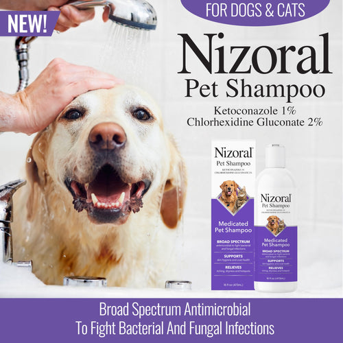 16 Oz Chlorhexidine Pet Shampoo J88133