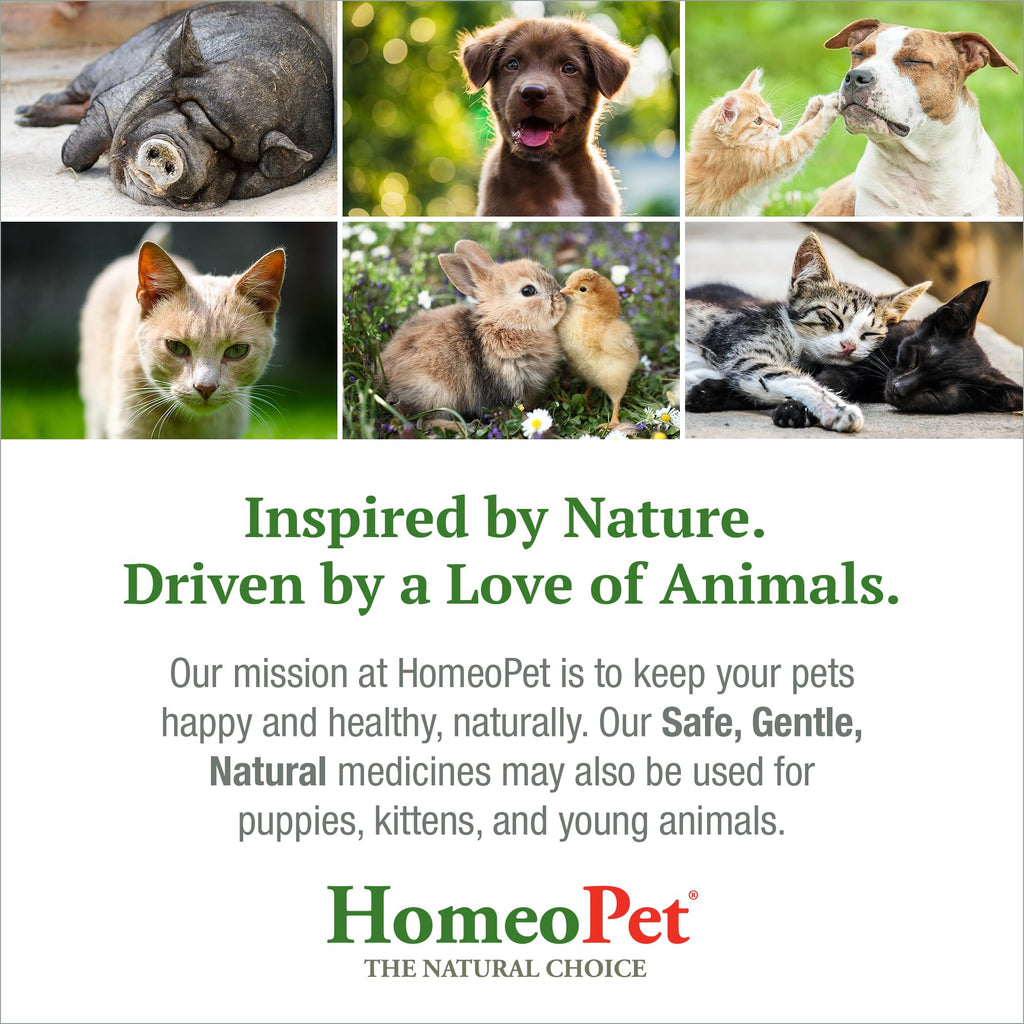 15 Milliliters Digestive Upsets for Dogs, Cats, and Small Pets F27464