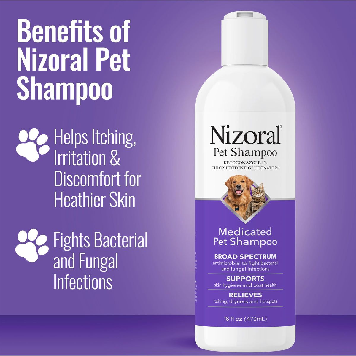 16 Oz Chlorhexidine Pet Shampoo J88133