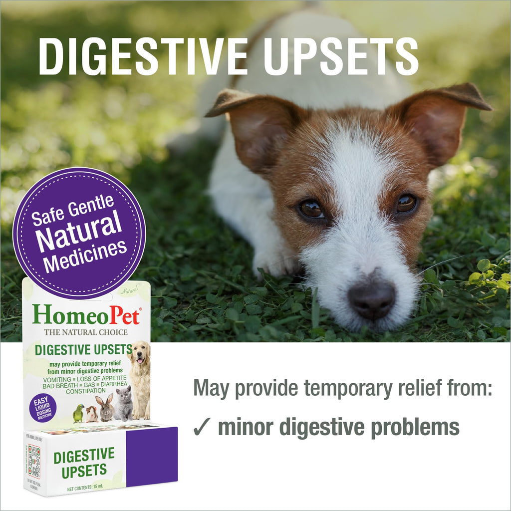 15 Milliliters Digestive Upsets for Dogs, Cats, and Small Pets F27464