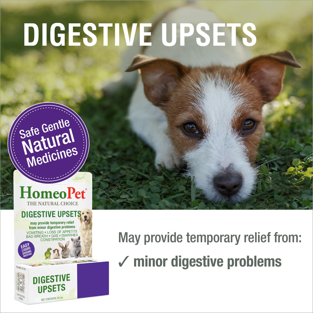15 Milliliters Digestive Upsets for Dogs, Cats, and Small Pets F27464