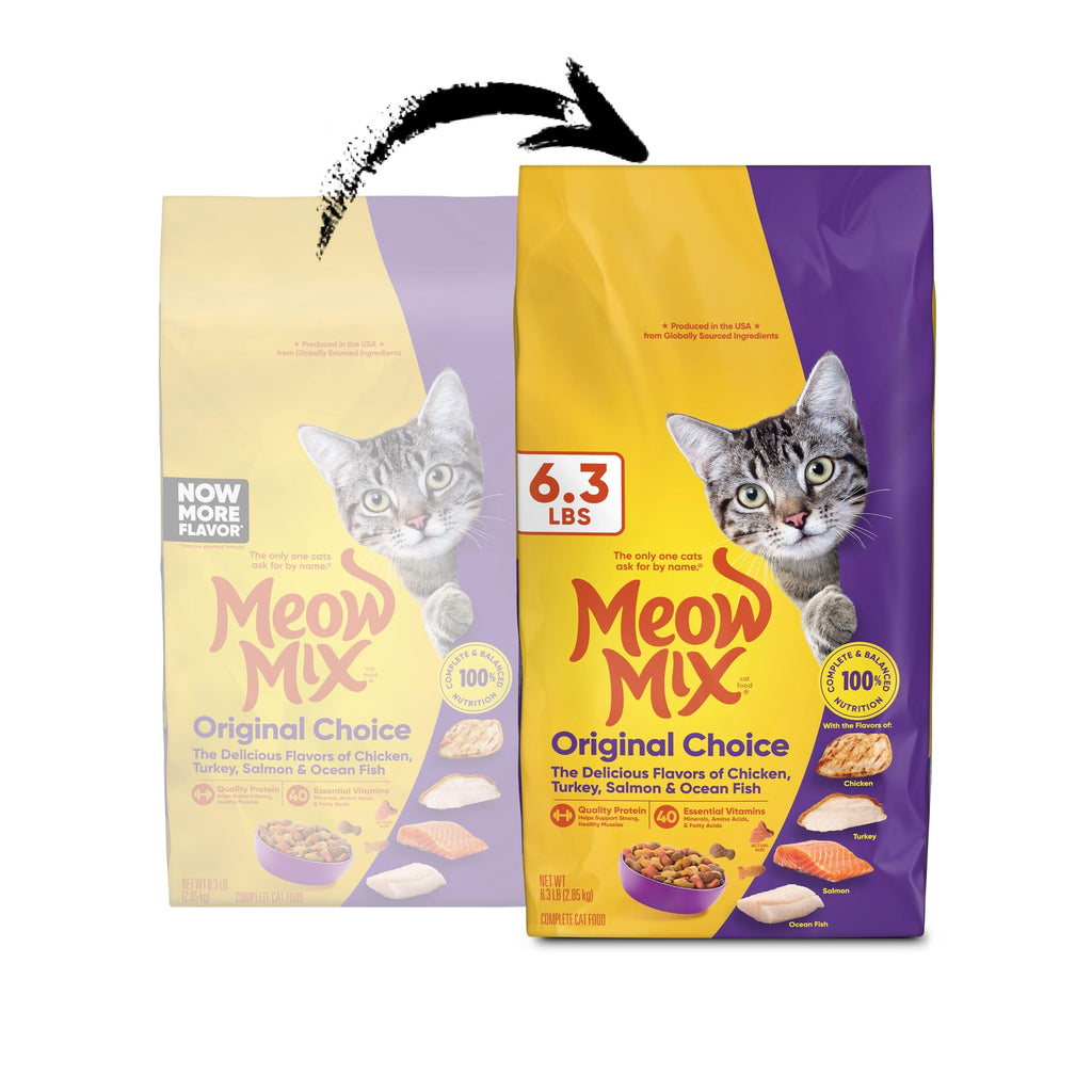 Dry Cat Food 6.3 Pound Bag Z920433