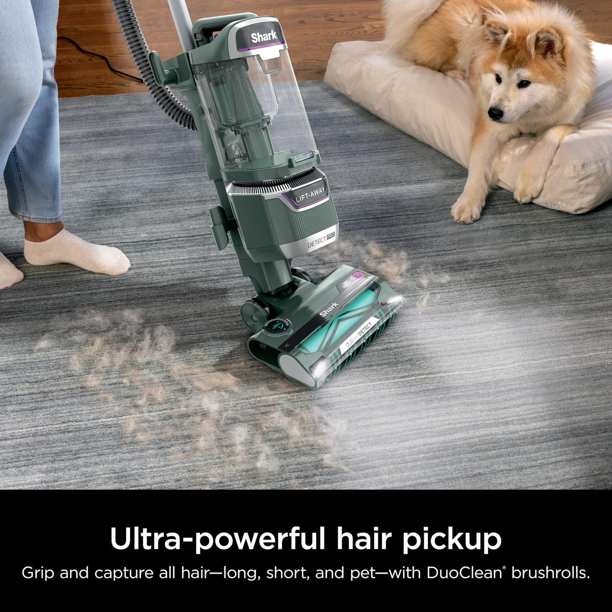 Evergreen Cordless Vacuum P98501