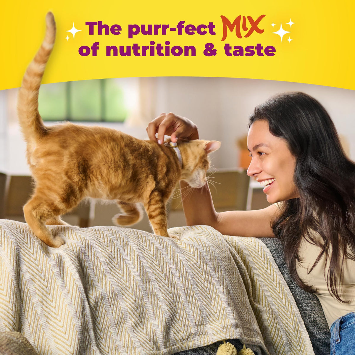 Dry Cat Food 6.3 Pound Bag Z920433