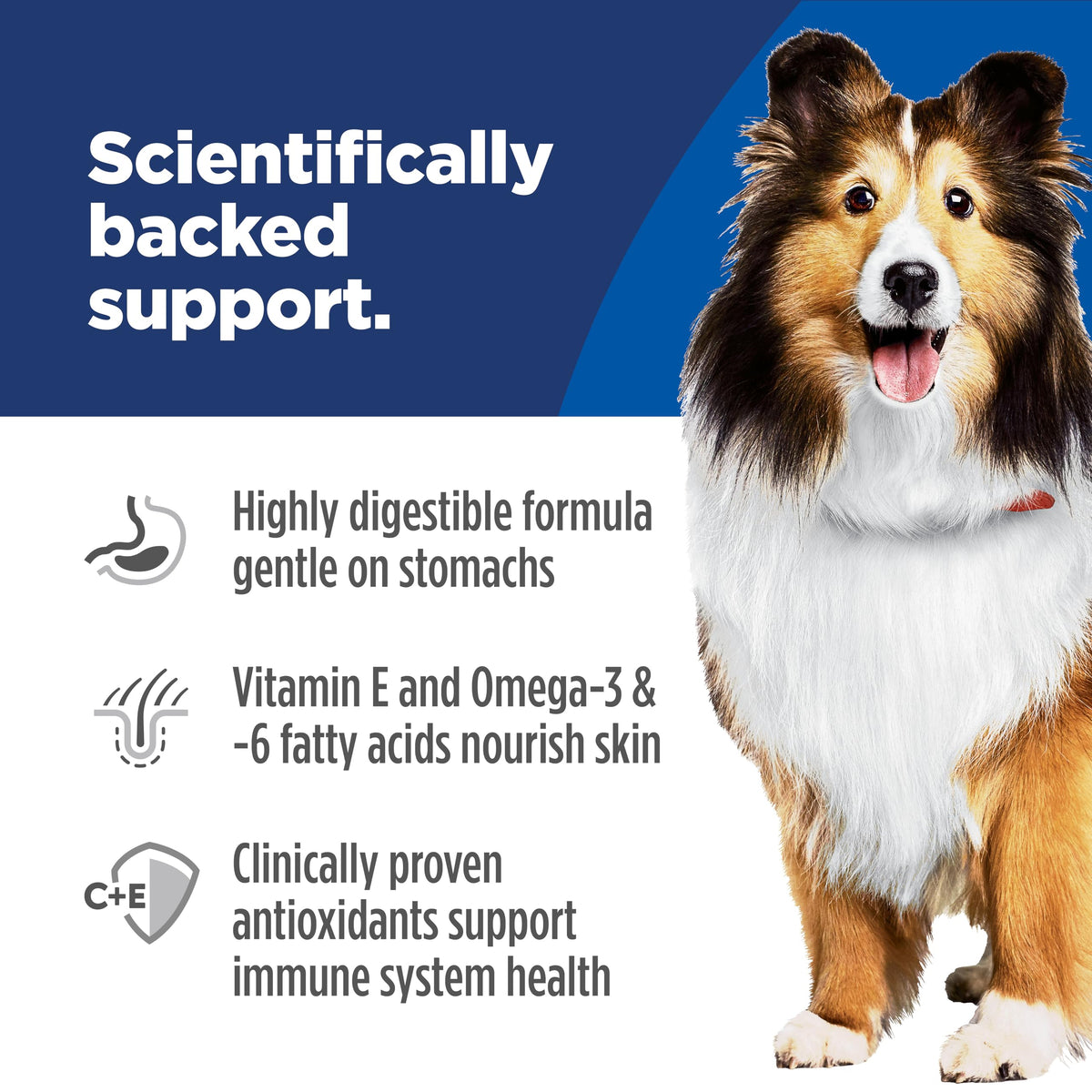 Sensitive Stomach & Skin Dry Dog Food N788918