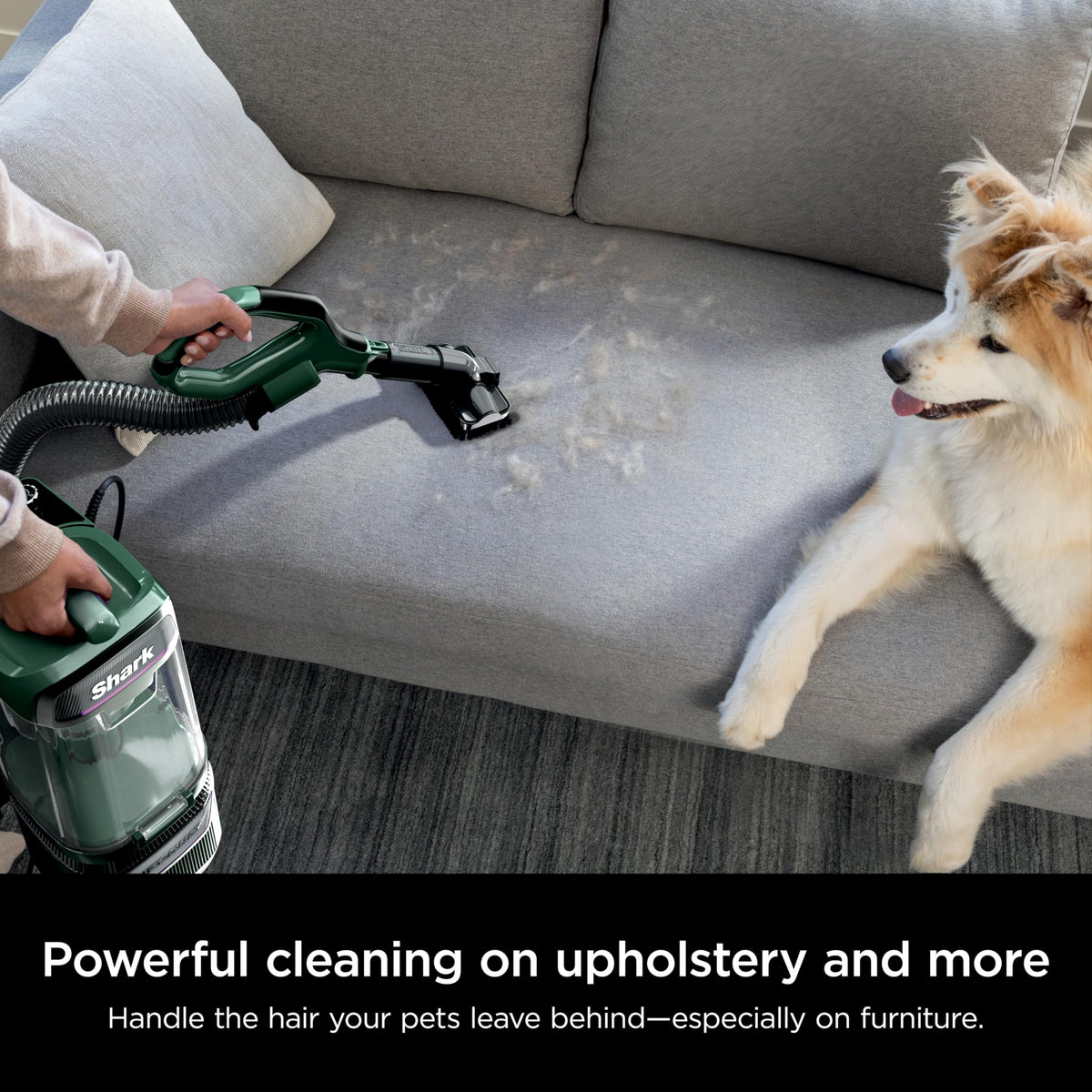 Evergreen Cordless Vacuum P98501